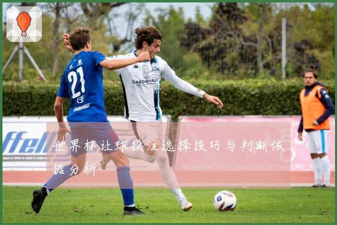 世界杯让球投注选择技巧与判断依据分析