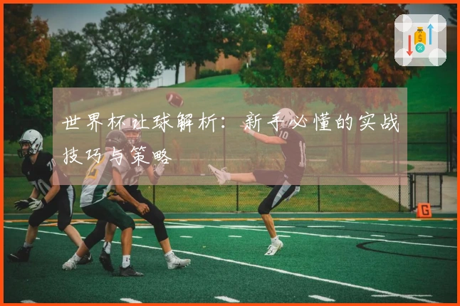 世界杯让球解析：新手必懂的实战技巧与策略